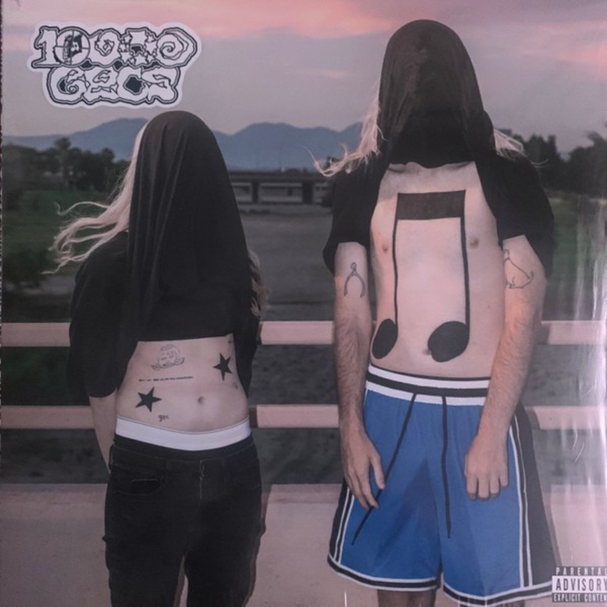 Δίσκος LP 100 Gecs - 10000 Gecs (White Coloured) (LP)