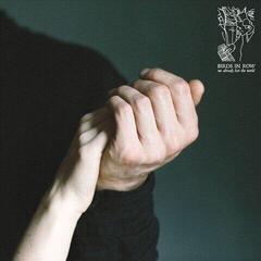 Vinylskiva Birds In Row - We Already Lost The World (LP)