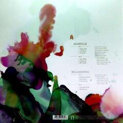 Disco de vinilo Mary Halvorson - Amaryllis & Belladonna (2 LP)