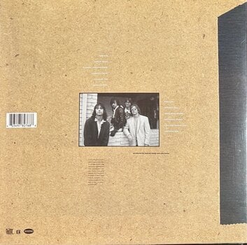 LP plošča Hindu Love Gods - Hindu Love Gods (180 g) (LP) - 1