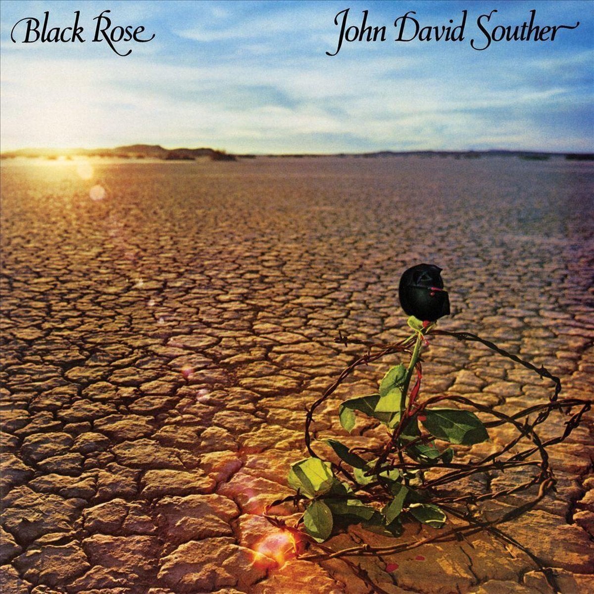 LP ploča John David Souther - Black Rose (180 g) (LP)