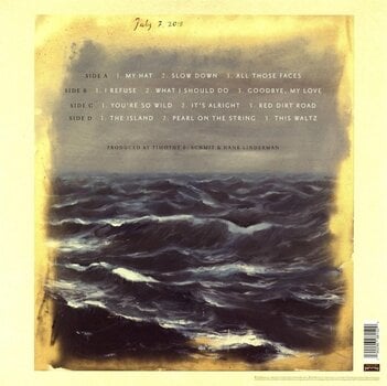 LP ploča Timothy B. Schmit - Leap Of Faith (LP) - 1