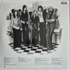 Schallplatte Fleetwood Mac - Fleetwood Mac (LP)