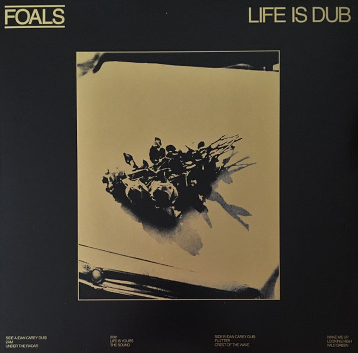 Vinüülplaat Foals - Life Is Dub (LP)