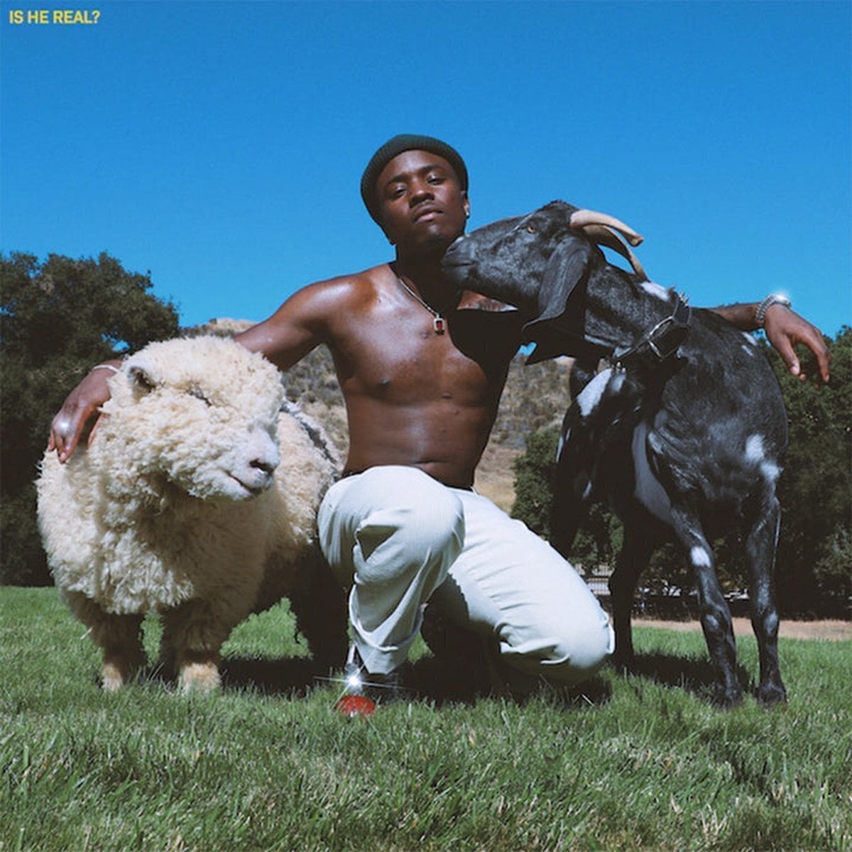 Disco de vinil Jay IDK - Is He Real? (LP)