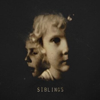 LP ploča Alex Somers - Siblings (2 LP) - 1