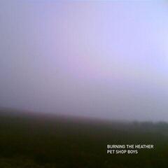 Schallplatte Pet Shop Boys - Burning The Heather (Limited Edition) (7")