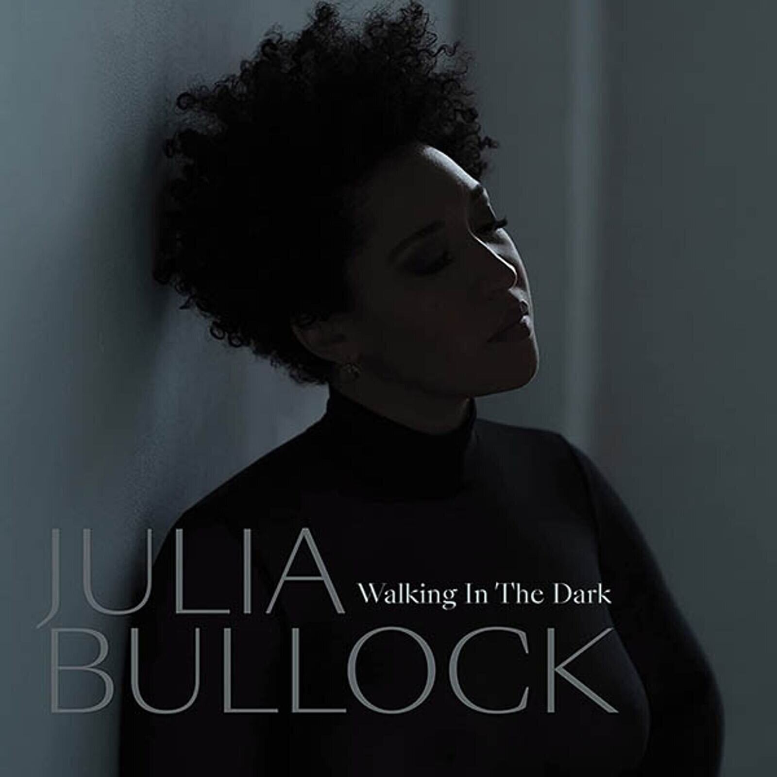 Schallplatte Julia Bullock - Walking in the Dark (LP)