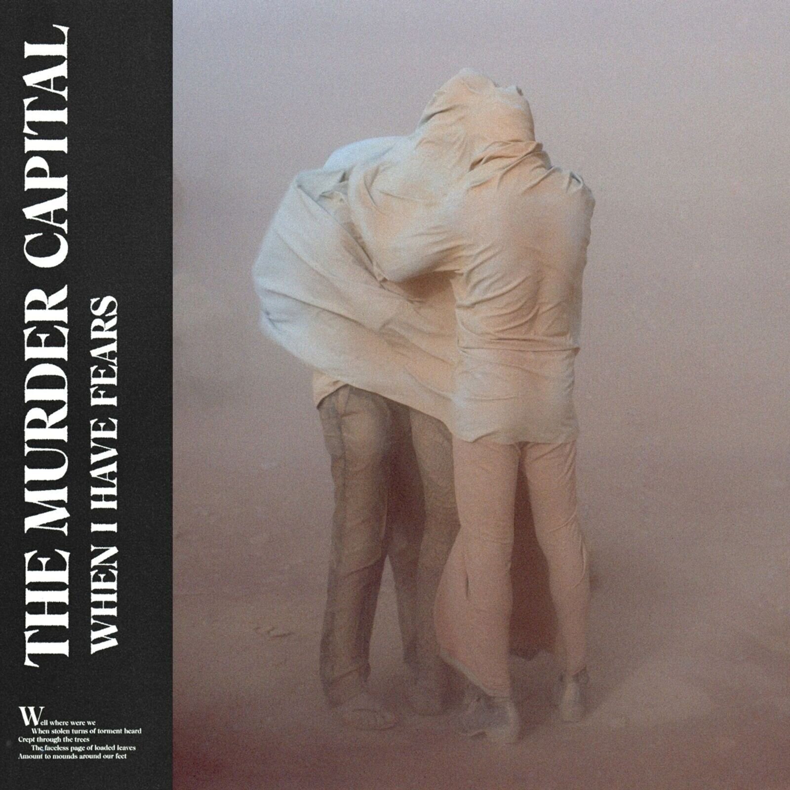 Vinüülplaat The Murder Capital - When I Have Fears (LP)