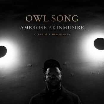 Disco de vinilo Ambrose Akinmusire - Owl Song (LP) - 1