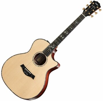 Pozostałe gitary z elektroniką Taylor Guitars 914ce Grand Auditorium Acoustic Electric with Cutaway - 1