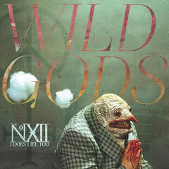 Vinyl Record The Number Twelve Looks Like You - Wild Gods (2 LP)