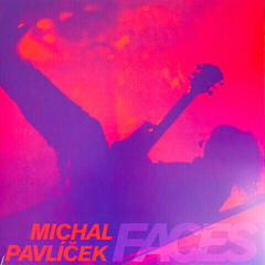 Vinyl Record Michal Pavlíček - Faces (4 LP)