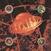 Грамофонна плоча Pixies - Bossanova (Remastered) (LP)