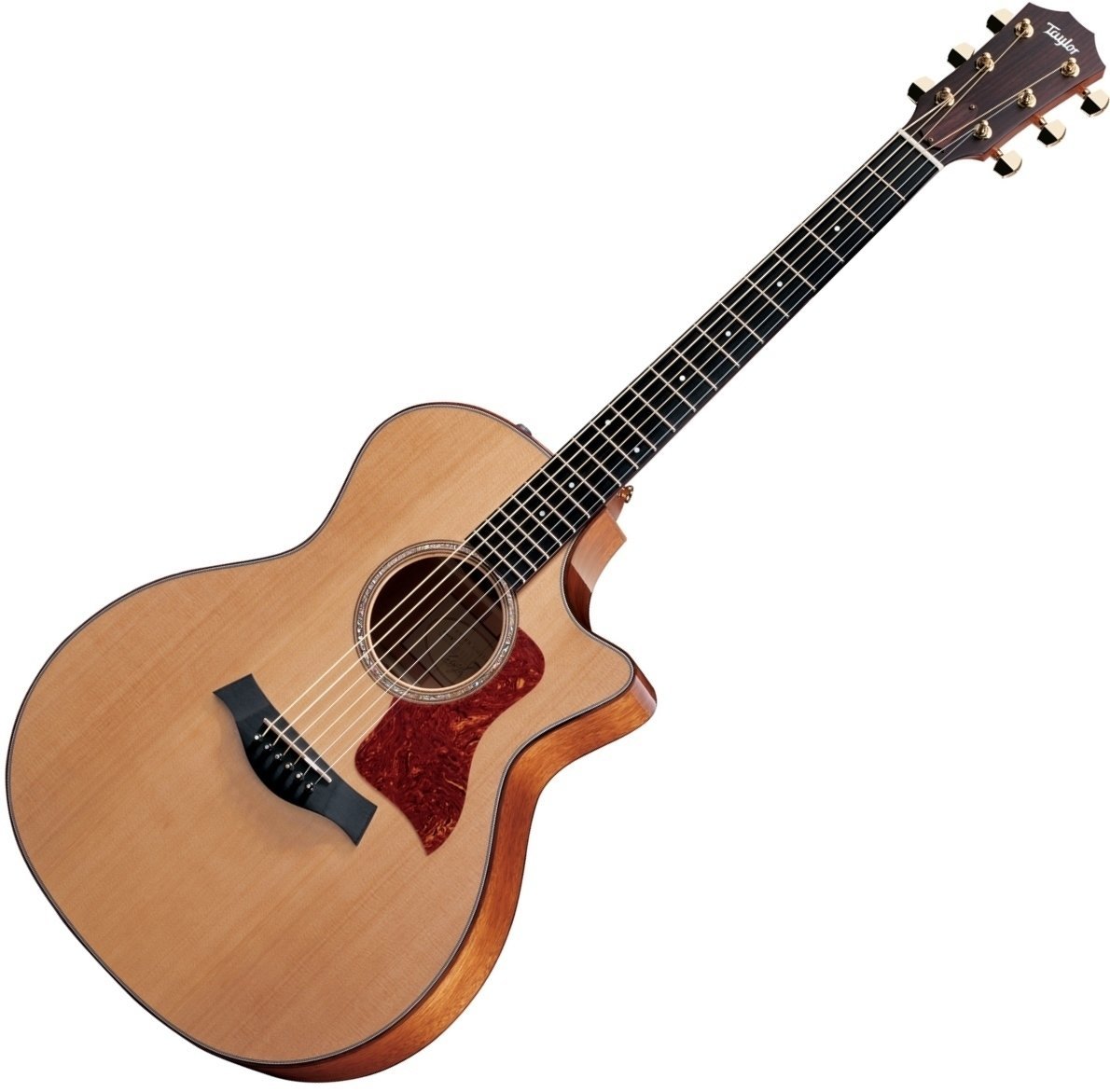 Electro-acoustic guitar Taylor Guitars 514ce Grand Auditorium