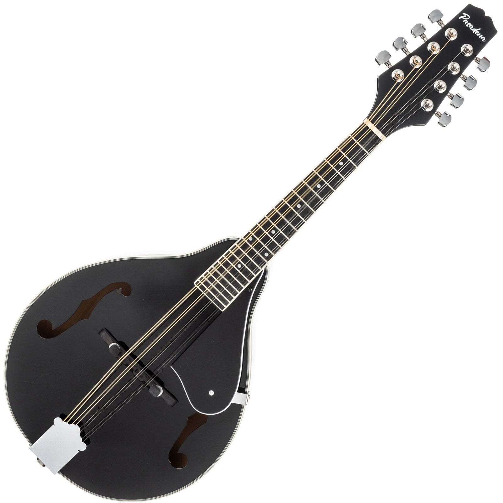 Mandolína Pasadena FSM01BK Black Mandolína