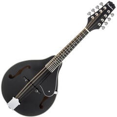 Mandolína Pasadena FSM01BK Black Mandolína