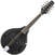 Mandolína Pasadena FSM01BK Black Mandolína
