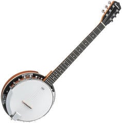 Banjo Pasadena BJ-107 Banjo
