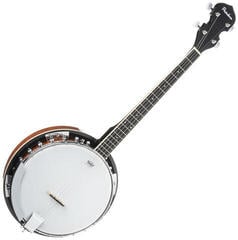 Banjo Pasadena BJ-103 Banjo