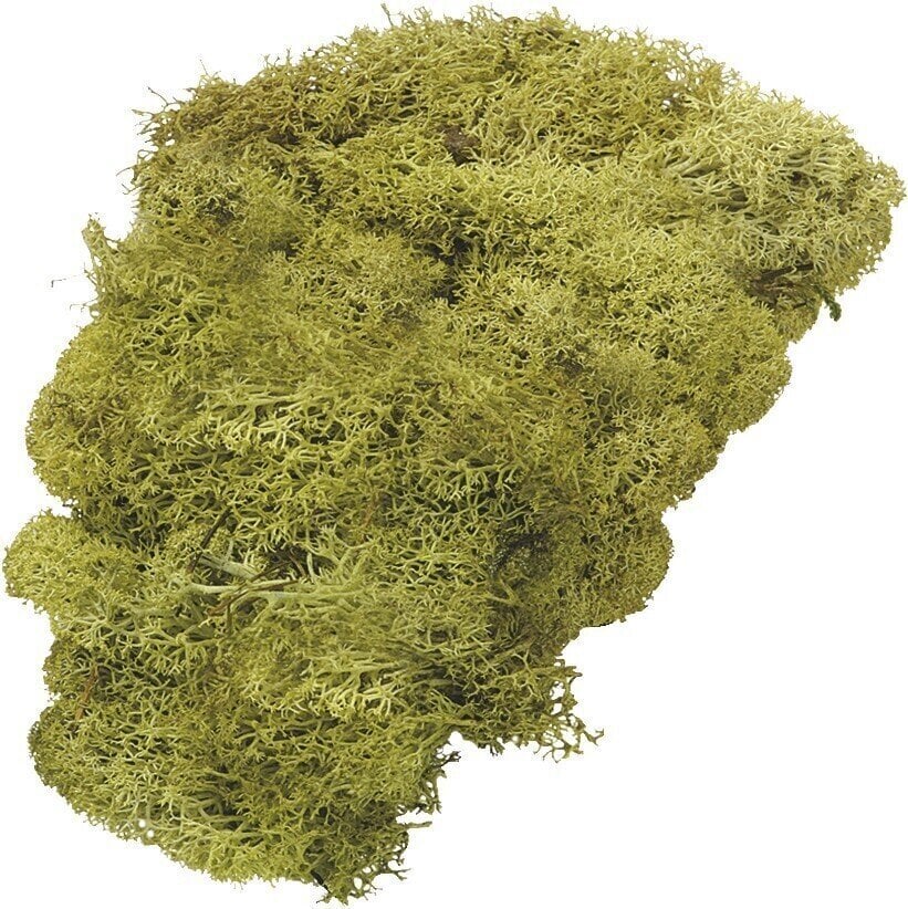 Matériau Knorr Prandell 216695426 Décorations Lime Green 250 g 1