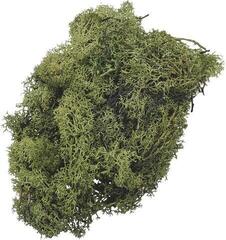 Matériau Knorr Prandell 216695442 Décorations Moss Green 250 g 1