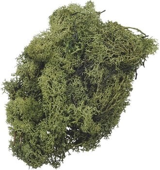 Materiale Knorr Prandell 216695442 Decorazioni Moss Green 250 g 1 - 1