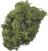 Materiale Knorr Prandell 216695442 Decorazioni Moss Green 250 g 1