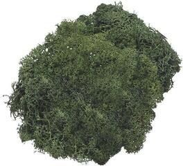 Materiál Knorr Prandell 216695469 Dekorace Fir Green 250 g 1