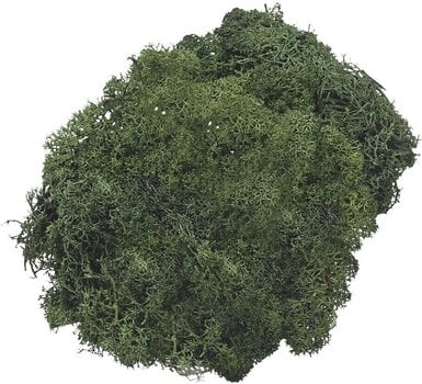 Materiál Knorr Prandell 216695469 Dekorace Fir Green 250 g 1 - 1