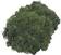 Materiál Knorr Prandell 216695469 Dekorace Fir Green 250 g 1