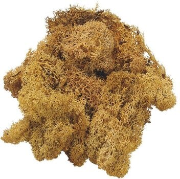Materiale Knorr Prandell 216695973 Decorazioni Natural 250 g 1 - 1
