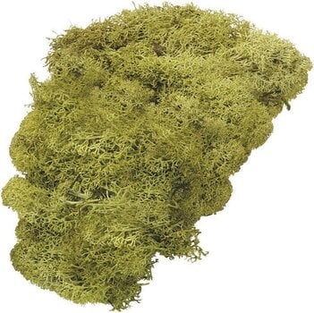 Matériau Knorr Prandell 216694420 Décorations Lime Green 50 g 1 - 1