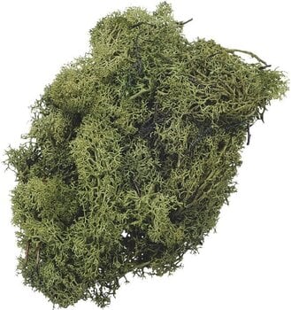 Matériau Knorr Prandell 216694446 Décorations Moss Green 50 g 1 - 1