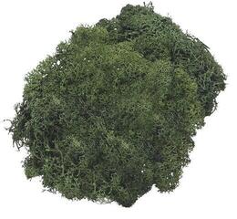 Materijal Knorr Prandell 216694462 Ukrasi Fir Green 50 g 1