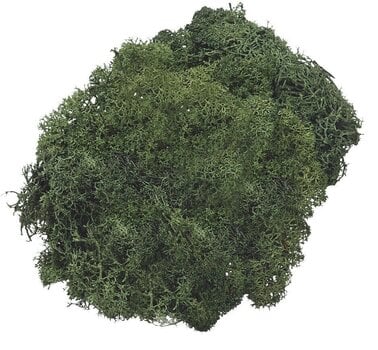 Material Knorr Prandell 216694462 Decoraciones Fir Green 50 g 1 - 1