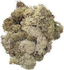 Materijal Knorr Prandell 216694977 Ukrasi Natural 50 g 1