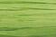 Materijal Knorr Prandell 218533042 Лико / Баст Lime Green 30 m 1