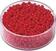 Dečije perle Knorr Prandell Rocailles Beads Carmine red ( Variant ) 17 g