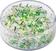 Dečije perle Knorr Prandell Rocailles Beads White, Green, Silver 17 g