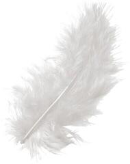 Material Knorr Prandell 216619002 Feathers White 100 mm 15