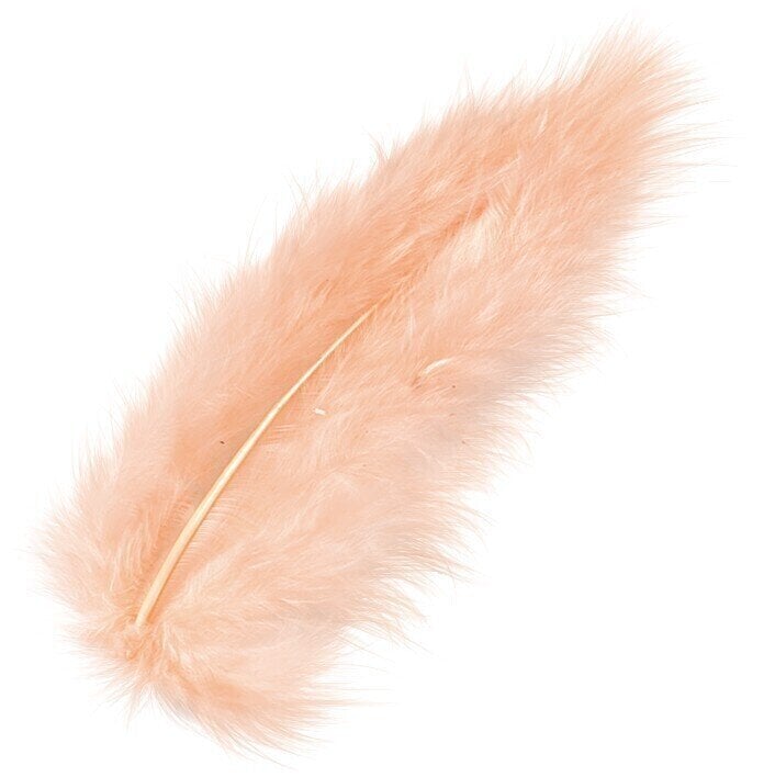 Material Knorr Prandell 216619207 Feathers Apricot 100 mm 15