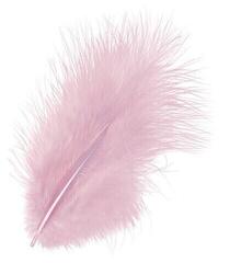 Materijal Knorr Prandell 216619215 Перо Pale Pink 100 mm 15