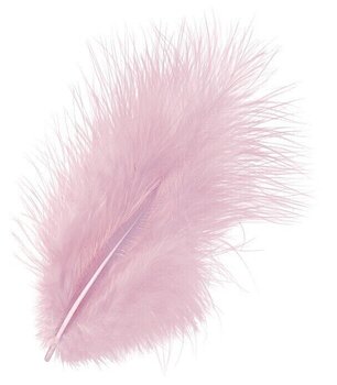 Materijal Knorr Prandell 216619215 Перо Pale Pink 100 mm 15 - 1