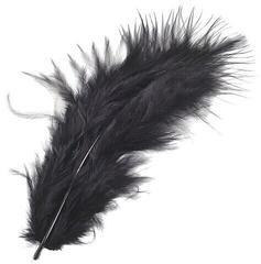 Material Knorr Prandell 216619614 Feathers Black 100 mm 15