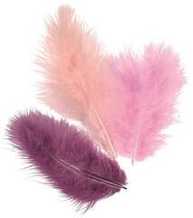 Material Knorr Prandell 216619928 Feathers Violet 100 mm 15