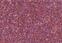 Materiaal Knorr Prandell 218105327 Glitter Rose 7 g 1