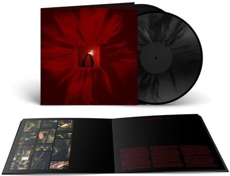 LP ploča Floating Points & San Francisco Ballet Orchestra - Mere Mortals (Limited Edition) (2 LP) - 1