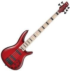 Elektromos basszusgitár Ibanez ANB205-TWB Transparent Wine Red Burst Elektromos basszusgitár
