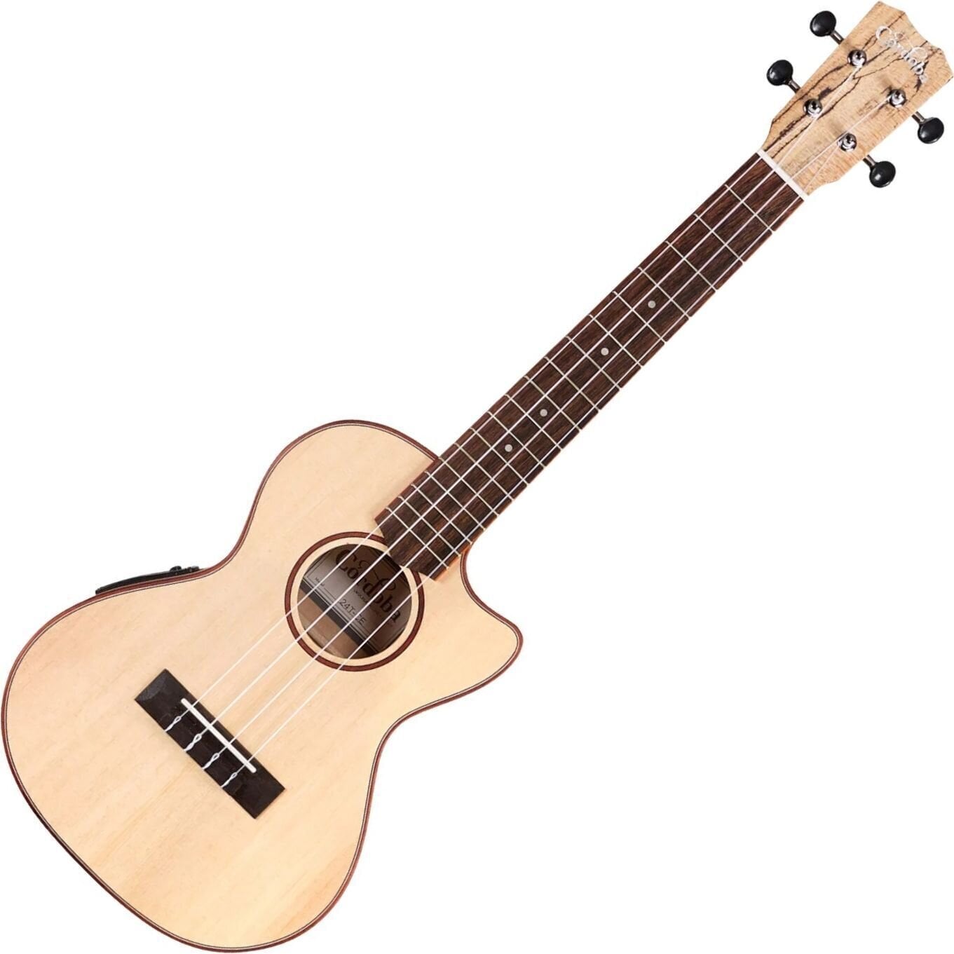 Tenor ukulele Cordoba 24T-CE SPRUCE Natural Tenor ukulele